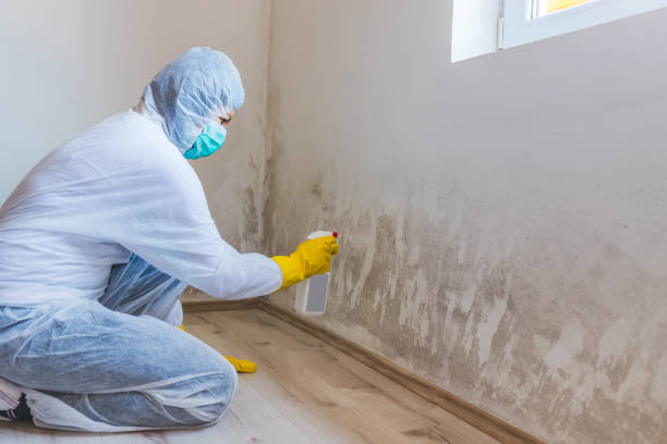 Licensed Bathroom Mold Removal service in Silver Spring, MD - WQB Mold Removal