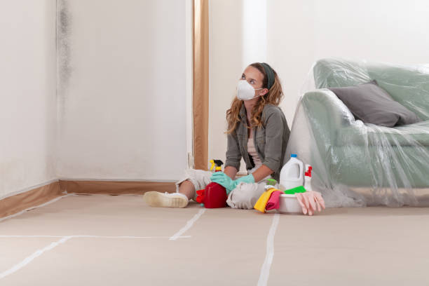 Reliable Bathroom Mold Removal contractor in Silver Spring, MD by WQB Mold Removal